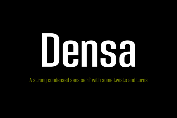 Densa Family: A Modern Sans Serif for Editorial Design