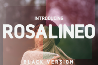 Rosalineo Black: A Modern Sans Serif Font for Campaign Design