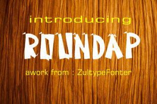 Roundap Font for Bold Digital Branding