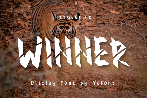Winner Font for Web Design and Branding